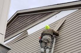 Best Custom Siding Design  in Drain, OR